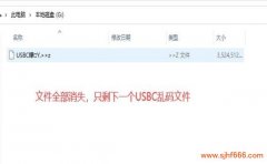 USBC数据恢复：乱码文件名的处理策略和技术细节